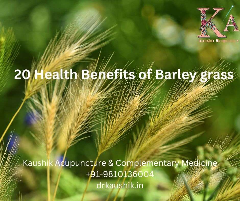 View of Nutritional value of barley grass (Jo ki bali in hindi)with 20 health ...